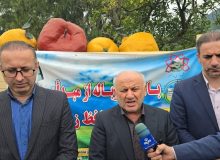 مناسب بودن اجرای پروژه‌های زیرساختی در رامسر