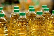 ۶۰۰ تن روغن در آمل عرضه شد