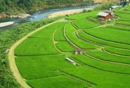 آبیاری تناوبی ۸۰۰۰ هکتار از شالیزارهای نور