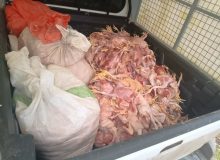 بانوان و تشکل‌های مردمی پشتوانه‌ای ارزشمند برای محیط زیست هستند