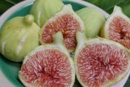 آیین شکرانه انجیر گلوگاه به عنوان مرغوب‌ترین انجیر ایران