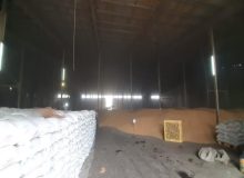 تأمین بذر گواهی‌شده خیال گندمکاران مازندرانی را آسوده کرد