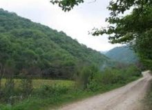 جاده‌های خاکی هزارجریب نکا تا پایان ۱۴۰۵ آسفالت می‌شوند